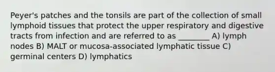 Peyer's patches and the tonsils are part of the collection of small lymphoid tissues that protect the upper respiratory and digestive tracts from infection and are referred to as ________ A) lymph nodes B) MALT or mucosa-associated lymphatic tissue C) germinal centers D) lymphatics