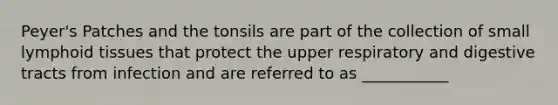 Peyer's Patches and the tonsils are part of the collection of small lymphoid tissues that protect the upper respiratory and digestive tracts from infection and are referred to as ___________