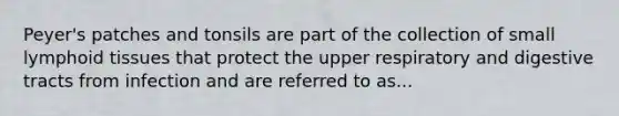 Peyer's patches and tonsils are part of the collection of small lymphoid tissues that protect the upper respiratory and digestive tracts from infection and are referred to as...