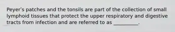 Peyerʹs patches and the tonsils are part of the collection of small lymphoid tissues that protect the upper respiratory and digestive tracts from infection and are referred to as __________.