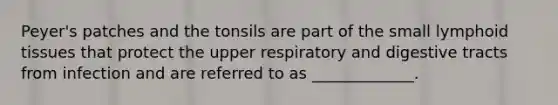 Peyer's patches and the tonsils are part of the small lymphoid tissues that protect the upper respiratory and digestive tracts from infection and are referred to as _____________.