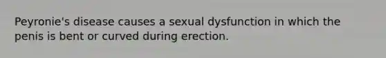 Peyronie's disease causes a sexual dysfunction in which the penis is bent or curved during erection.