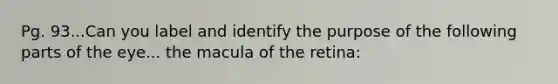 Pg. 93...Can you label and identify the purpose of the following parts of the eye... the macula of the retina: