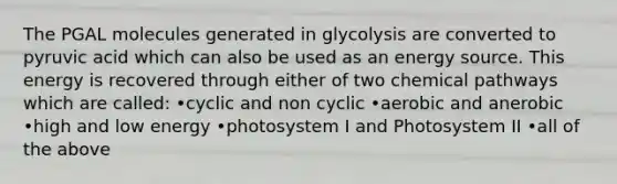 The PGAL molecules generated in glycolysis are converted to pyruvic acid which can also be used as an energy source. This energy is recovered through either of two chemical pathways which are called: •cyclic and non cyclic •aerobic and anerobic •high and low energy •photosystem I and Photosystem II •all of the above