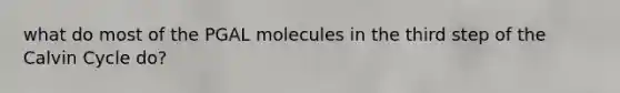 what do most of the PGAL molecules in the third step of the Calvin Cycle do?