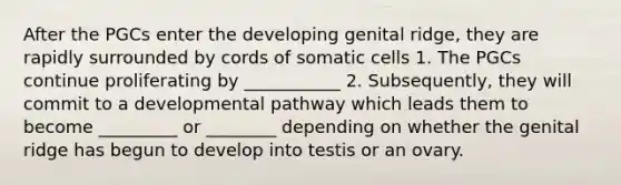 After the PGCs enter the developing genital ridge, they are rapidly surrounded by cords of somatic cells 1. The PGCs continue proliferating by ___________ 2. Subsequently, they will commit to a developmental pathway which leads them to become _________ or ________ depending on whether the genital ridge has begun to develop into testis or an ovary.