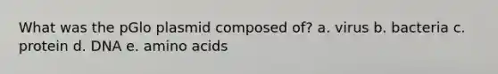 What was the pGlo plasmid composed of? a. virus b. bacteria c. protein d. DNA e. amino acids