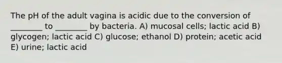 The pH of the adult vagina is acidic due to the conversion of ________ to ________ by bacteria. A) mucosal cells; lactic acid B) glycogen; lactic acid C) glucose; ethanol D) protein; acetic acid E) urine; lactic acid