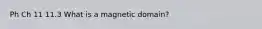 Ph Ch 11 11.3 What is a magnetic domain?