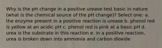 Why is the pH change in a positive urease test basic in nature (what is the chemical source of the pH change)? Select one: a. the enzyme present in a positive reaction is urease b. phenol red is yellow at an acidic pH c. phenol red is pink at a basic pH d. urea is the substrate in this reaction e. in a positive reaction, urea is broken down into ammonia and carbon dioxide