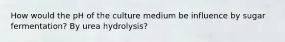 How would the pH of the culture medium be influence by sugar fermentation? By urea hydrolysis?