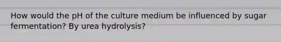 How would the pH of the culture medium be influenced by sugar fermentation? By urea hydrolysis?