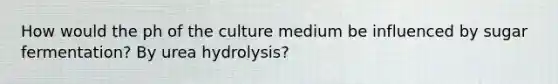 How would the ph of the culture medium be influenced by sugar fermentation? By urea hydrolysis?