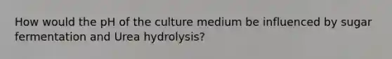 How would the pH of the culture medium be influenced by sugar fermentation and Urea hydrolysis?