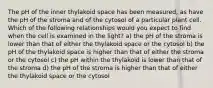 The pH of the inner thylakoid space has been measured, as have the pH of the stroma and of the cytosol of a particular plant cell. Which of the following relationships would you expect to find when the cell is examined in the light? a) the pH of the stroma is lower than that of either the thylakoid space or the cytosol b) the pH of the thylakoid space is higher than that of either the stroma or the cytosol c) the pH within the thylakoid is lower than that of the stroma d) the pH of the stroma is higher than that of either the thylakoid space or the cytosol