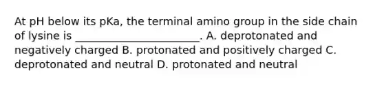 At pH below its pKa, the terminal amino group in the side chain of lysine is _______________________. A. deprotonated and negatively charged B. protonated and positively charged C. deprotonated and neutral D. protonated and neutral