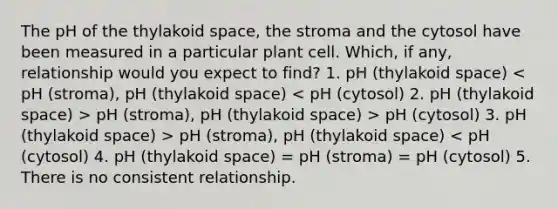 The pH of the thylakoid space, the stroma and the cytosol have been measured in a particular plant cell. Which, if any, relationship would you expect to find? 1. pH (thylakoid space) pH (stroma), pH (thylakoid space) > pH (cytosol) 3. pH (thylakoid space) > pH (stroma), pH (thylakoid space) < pH (cytosol) 4. pH (thylakoid space) = pH (stroma) = pH (cytosol) 5. There is no consistent relationship.