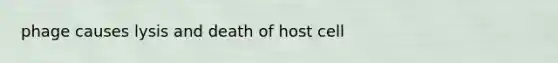 phage causes lysis and death of host cell