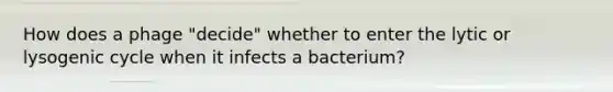 How does a phage "decide" whether to enter the lytic or lysogenic cycle when it infects a bacterium?