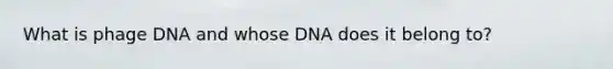 What is phage DNA and whose DNA does it belong to?