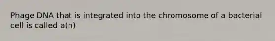 Phage DNA that is integrated into the chromosome of a bacterial cell is called a(n)