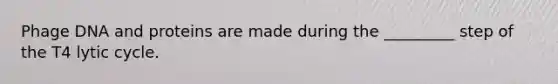Phage DNA and proteins are made during the _________ step of the T4 lytic cycle.