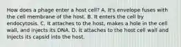 How does a phage enter a host cell? A. It's envelope fuses with the cell membrane of the host. B. It enters the cell by endocytosis. C. It attaches to the host, makes a hole in the cell wall, and injects its DNA. D. It attaches to the host cell wall and Injects its capsid into the host.