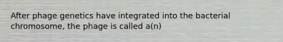 After phage genetics have integrated into the bacterial chromosome, the phage is called a(n)