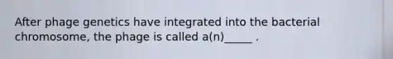 After phage genetics have integrated into the bacterial chromosome, the phage is called a(n)_____ .