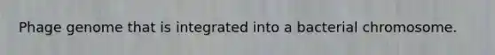 Phage genome that is integrated into a bacterial chromosome.
