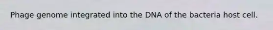 Phage genome integrated into the DNA of the bacteria host cell.