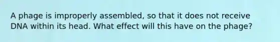 A phage is improperly assembled, so that it does not receive DNA within its head. What effect will this have on the phage?