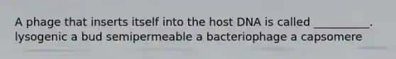 A phage that inserts itself into the host DNA is called __________. lysogenic a bud semipermeable a bacteriophage a capsomere