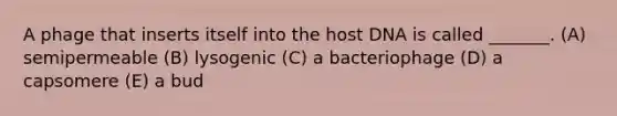 A phage that inserts itself into the host DNA is called _______. (A) semipermeable (B) lysogenic (C) a bacteriophage (D) a capsomere (E) a bud