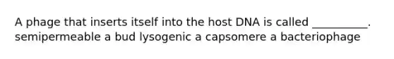 A phage that inserts itself into the host DNA is called __________. semipermeable a bud lysogenic a capsomere a bacteriophage