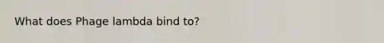 What does Phage lambda bind to?