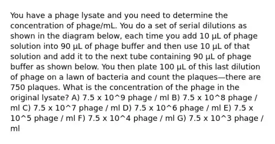 You have a phage lysate and you need to determine the concentration of phage/mL. You do a set of serial dilutions as shown in the diagram below, each time you add 10 µL of phage solution into 90 µL of phage buffer and then use 10 µL of that solution and add it to the next tube containing 90 µL of phage buffer as shown below. You then plate 100 µL of this last dilution of phage on a lawn of bacteria and count the plaques—there are 750 plaques. What is the concentration of the phage in the original lysate? A) 7.5 x 10^9 phage / ml B) 7.5 x 10^8 phage / ml C) 7.5 x 10^7 phage / ml D) 7.5 x 10^6 phage / ml E) 7.5 x 10^5 phage / ml F) 7.5 x 10^4 phage / ml G) 7.5 x 10^3 phage / ml