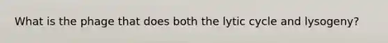 What is the phage that does both the lytic cycle and lysogeny?