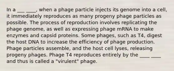 In a ___ ____, when a phage particle injects its genome into a cell, it immediately reproduces as many progeny phage particles as possible. The process of reproduction involves replicating the phage genome, as well as expressing phage mRNA to make enzymes and capsid proteins. Some phages, such as T4, digest the host DNA to increase the efficiency of phage production. Phage particles assemble, and the host cell lyses, releasing progeny phages. Phage T4 reproduces entirely by the ____ ____ and thus is called a "virulent" phage.