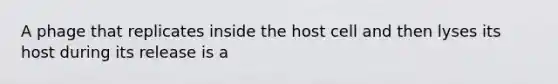 A phage that replicates inside the host cell and then lyses its host during its release is a