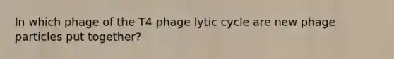 In which phage of the T4 phage lytic cycle are new phage particles put together?