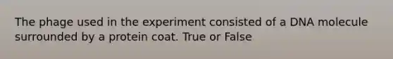The phage used in the experiment consisted of a DNA molecule surrounded by a protein coat. True or False