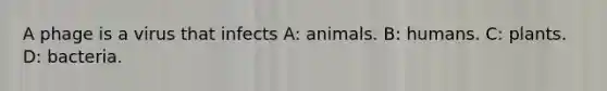 A phage is a virus that infects A: animals. B: humans. C: plants. D: bacteria.