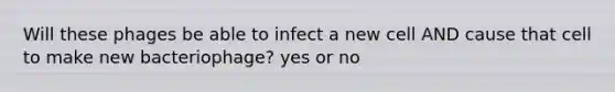 Will these phages be able to infect a new cell AND cause that cell to make new bacteriophage? yes or no