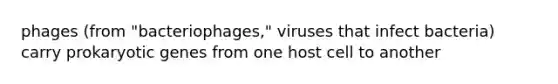 phages (from "bacteriophages," viruses that infect bacteria) carry prokaryotic genes from one host cell to another