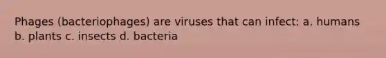 Phages (bacteriophages) are viruses that can infect: a. humans b. plants c. insects d. bacteria