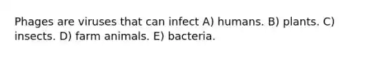 Phages are viruses that can infect A) humans. B) plants. C) insects. D) farm animals. E) bacteria.