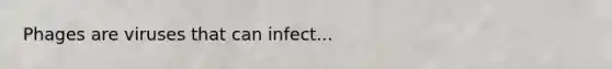 Phages are viruses that can infect...