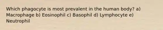 Which phagocyte is most prevalent in the human body? a) Macrophage b) Eosinophil c) Basophil d) Lymphocyte e) Neutrophil