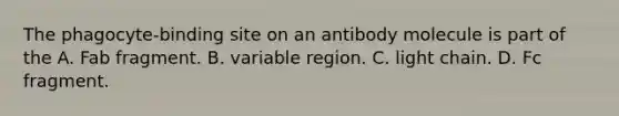 The phagocyte-binding site on an antibody molecule is part of the A. Fab fragment. B. variable region. C. light chain. D. Fc fragment.